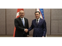 Dışişleri Bakanı Çavuşoğlu, Özbek mevkidaşı Narov’la görüştü