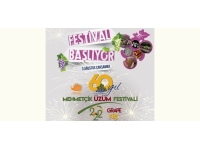 Mehmetçik Üzüm Festivali yarın başlıyor