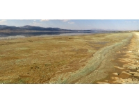 Burdur Gölü'nde 'alg' patlaması: Suyun rengi değişti