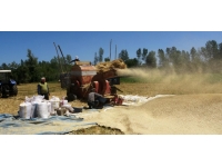 Çiftçilerin kış hazırlıkları başladı