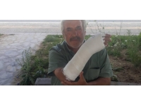 Köpeklerden kaçarken düşüp kolunu kırdı