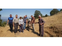 Kurbanlık dananın firarı 26 gün sürdü