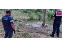 Hayvanları aç ve susuz bıraktı, cezası ağır oldu