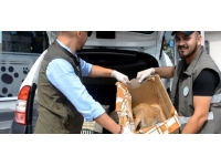Baygın halde bulunan yavru karaca tedavi altına alındı