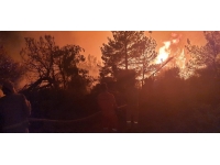 Manisa'daki orman yangınına müdahale sürüyor