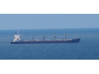 Mısır yüklü 3 geminin İstanbul Boğazı'ndan geçmesi bekleniyor