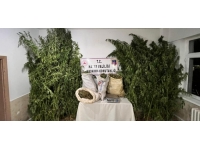 Hatay'da 40 kilogram esrar ve 350 kök Hint keneviri ele geçirildi