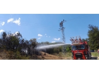 Bilecik'te çıkan çamlık yangını söndürüldü