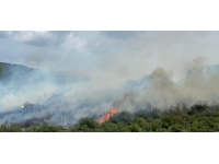 Kocaeli'de ormanlık alanda çıkan yangına müdahale ediliyor