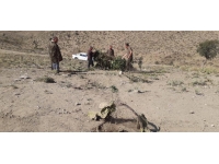 Kaçak avlanan 3 kişi suçüstü yakalandı