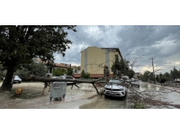 Burdur'da kuvvetli rüzgar ve sağanaktan dolayı ağaçlar devrildi