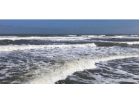 Sakarya ve Kocaeli'deki plajlarda denize girmek yasaklandı