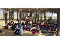 Muğla'da ormanlık alanda 81 düzensiz göçmen yakalandı