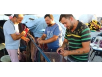 Tekirdağlı balıkçılar av sezonuna hazırlanıyor