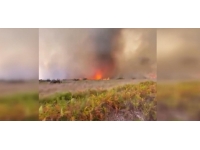 Fransa'daki orman yangınında alev hortumu oluştu