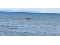 Bursa'da boğulmak üzere olan kişi son anda kurtarıldı