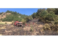 Bingöl'de çıkan orman yangını söndürüldü