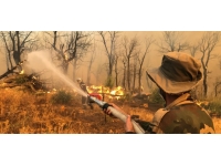 Cezayir’de 26 noktada orman yangını: 26 kişi öldü