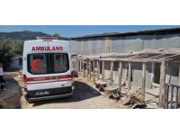 Muğla'da şüpheli ölüm