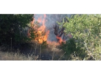 Malatya'da orman yangını: 150 dönüm alan zarar gördü