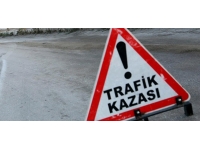 Kars'ta tanker sürüye çarptı: 3 kişi yaralandı, 17 büyükbaş hayvan telef oldu