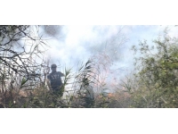Tekirdağ'da anız yangını