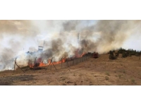 Bingöl'deki orman yangını söndürüldü