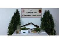 Tokat'ta uyuşturucu operasyonu