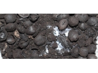 4 bin 200 yıllık fındık kalıntıları bulundu