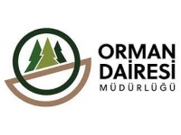 Orman Dairesi, yangın riskine karşı daha dikkatli olunması uyarısında bulundu