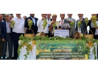 Manisa'da sezonun ilk çekirdeksiz kuru üzümü borsaya geldi