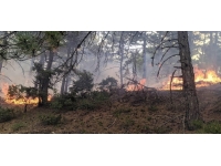 Eskişehir'de çıkan orman yangını söndürüldü