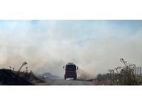 Haspolat’ta çöplük alanda yangın