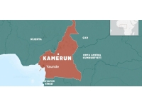 Kamerun'da Boko Haram saldırısı: 4 ölü
