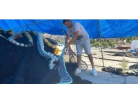 Zonguldak'ta balıkçılar yeni sezon için gün sayıyor