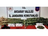 Aksaray'da uyuşturucu operasyonu: 2 gözaltı