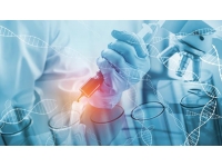 Kök hücrelerden sentetik fare embriyosu oluşturuldu