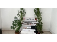 Sinop'ta uyuşturucu operasyonu: 2 gözaltı