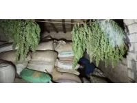 Şanlıurfa'da 23 kilogram esrar ele geçirildi