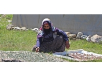 Erzincanlı göçerlerin yayla hayatı