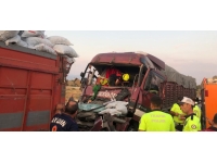 Aydın'da iki kamyon çarpıştı: 1 kişi öldü, 3 kişi yaralandı
