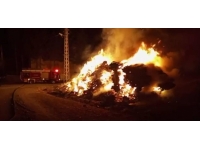 Mersin’de fıstık balyaları yandı