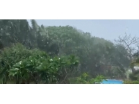 Japonya’da Hinnamnor Tayfunu alarmı: Market rafları boşaldı