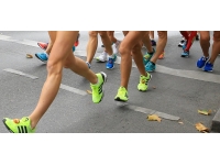 Milli sporcular eylül ayında müsabakalarda boy gösterecek