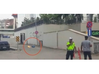 Alev alan tüpün üzerine atladı, söndüremeyince aşağı attı