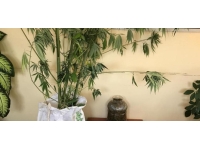 Pamukova'da uyuşturucu operasyonlarında 5 kişi gözaltına alındı