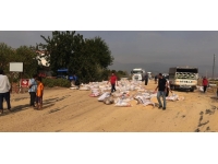 Gaziantep'te 5 ton yem, tır dorsesinden yola saçıldı