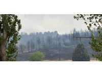 Erzincan'da ormanlık alanda çıkan yangın söndürüldü