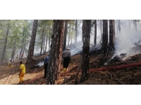 Kahramanmaraş'ta çıkan orman yangını kontrol altına alındı