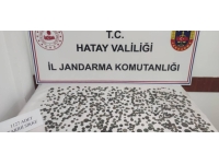 Hatay'da bir evde 1127 sikke ele geçirildi